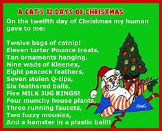 Image result for 12 Days of Christmas Cards Humour