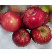 Image result for Red Jonathan Apple