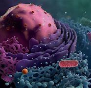 Image result for Life Science Cells
