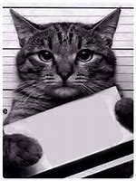 Image result for Cat Jail Emoji