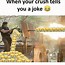 Image result for Funny Jokes to Text Your Crush