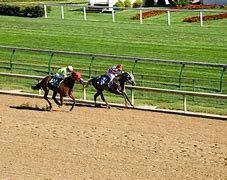 Image result for horse racing tracks