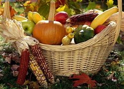 Image result for Fall Harvest Background Images
