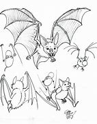 Image result for Bat Standing Drawing Reference