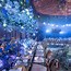 Image result for Starry Night Decorations