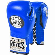 Image result for Cleto Reyes Boxing Gloves