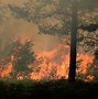Image result for Wildland Fire by Building