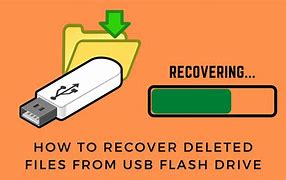 Image result for Data Recovery USB Flash Drive