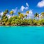 Image result for Aesthetic Palm Tree Wallpaper for Laptop
