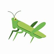 Image result for Monster Cricket Insect Cartoon