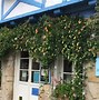 Image result for auray