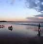 Image result for Malindi Kenya Beaches