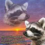 Image result for Raccoon Dank Memes