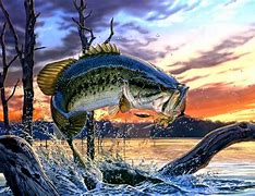 Image result for Bass Fishing Wallpaper 4K Real