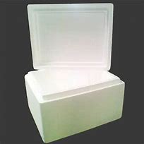 Image result for Ice Bag Thermocol Box