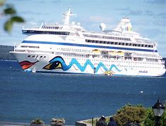 Image result for A Cruise Ship
