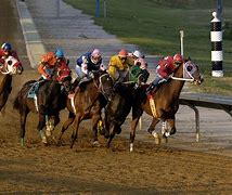Image result for Racing Horse Wallpaper HD