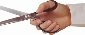 Image result for Sharp Pointed Scissors