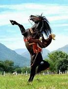 Image result for Ancient Striped Mexican Horse