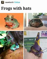 Image result for Amphibian Meme