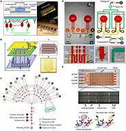 Image result for Banias Labs Chip Maker
