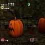 Image result for Apple Hill Pumpkin Patch
