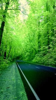 Image result for Nature iPhone Wallpaper Green