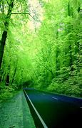 Image result for Green Screen Background Wallpaper for Phone