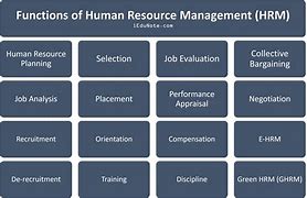 Image result for Human Resource Management