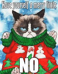Image result for Grumpy Cat Shirt