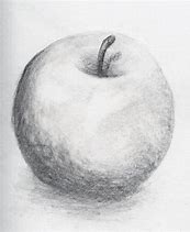 Image result for Still Life Apple Art Ideas