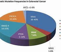 Image result for Colon Cancer Mutations
