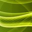 Image result for Greenscreen iPhone Wallpaper