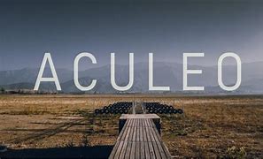 Image result for acularo