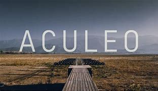 Image result for acullicad