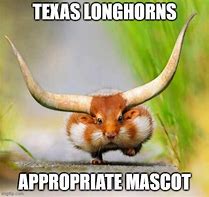 Image result for Texas Longhorns Football Meme