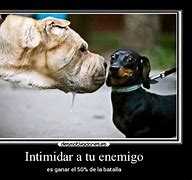 Image result for intimidar