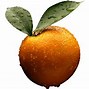 Image result for Orange Clip Art Black