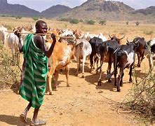 Image result for Fulani Herdsmen