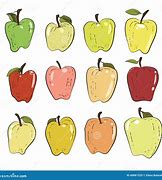 Image result for 12 Apples Picture