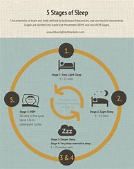 Image result for REM Sleep Cycle Stages