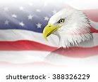 Image result for Bald Eagle with American Flag Clip Art