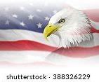 Image result for American Flag Attack Bald Eagle Wings