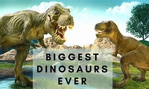Image result for Largest Dinosaur of All Time