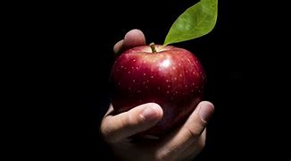 Image result for Hand Holding an Apple Out of a Grave