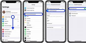 Image result for iPhone Passwords and Accounts