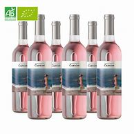 Image result for Capion Zefir Rose Capion