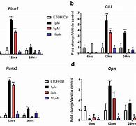 Image result for Hedgehog Gene