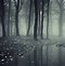 Image result for Eerie Landscape Photography