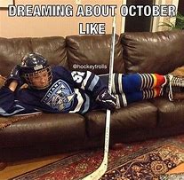 Image result for Hockey Fan Meme